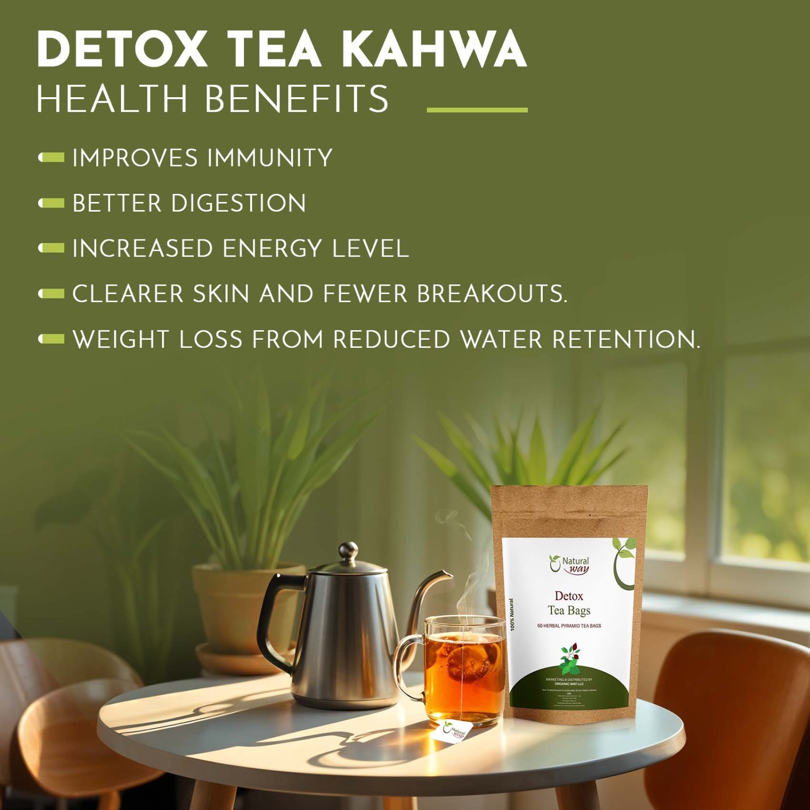 Pyramid Detox Tea Bags | ECO Conscious Packaging | 4.5 Oz (Pack of 50)