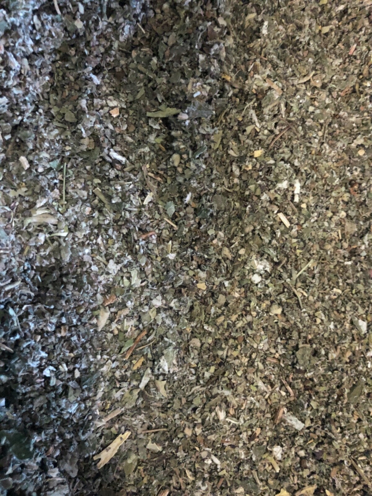 Marshmallow + Mullein + Raspberry Leaf – Quality Organic Herb Tea Mix – 1/2 LB