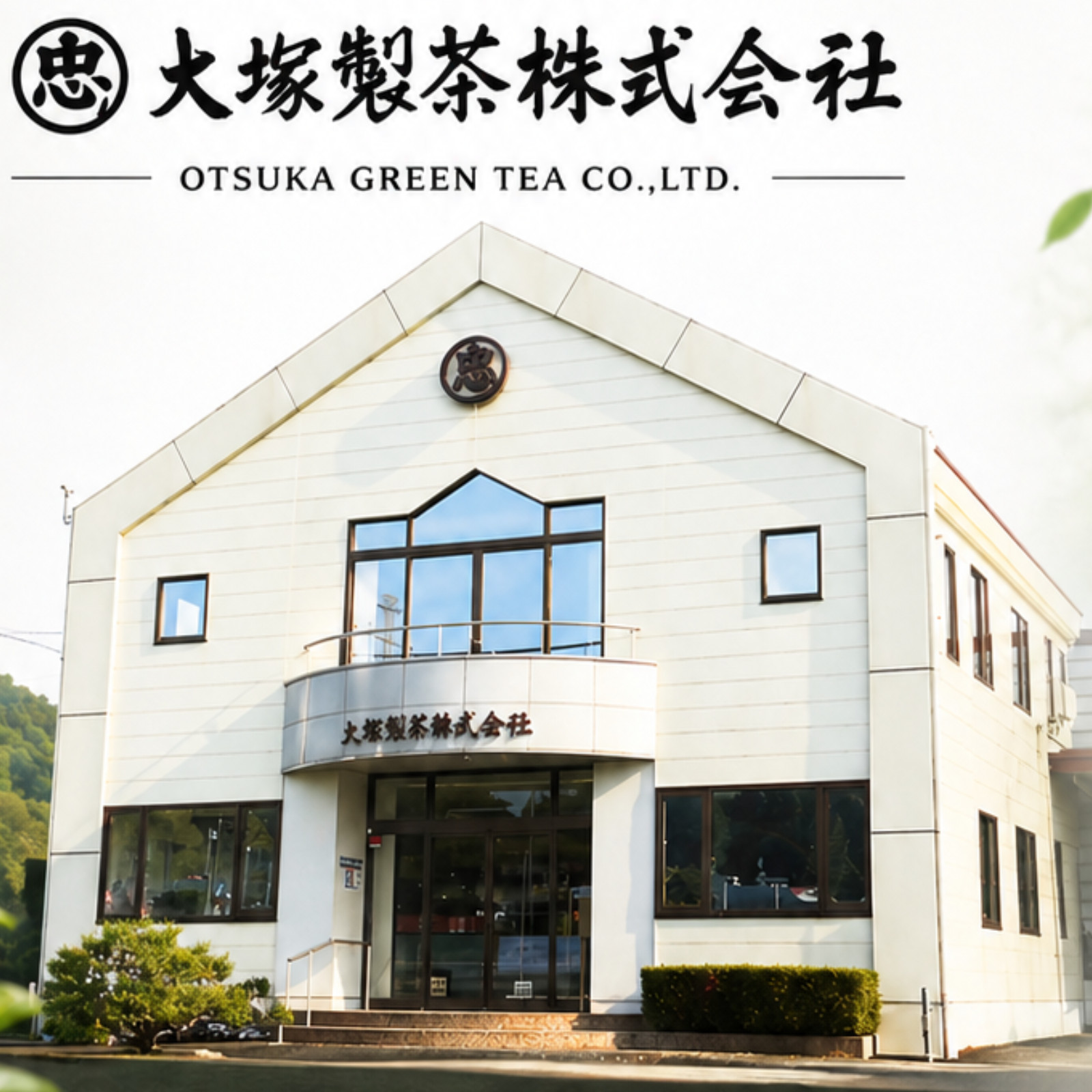 Otsuka Green Tea – Organic Ceromonial Grade Matcha Powder 50g x 3Packets