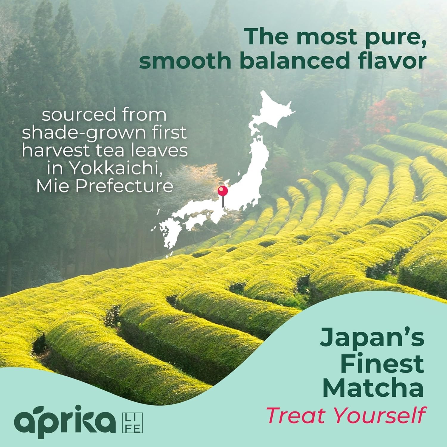 Japanese Ceremonial Matcha Tea Powder 100g Aprika Life USDA Organic JAS