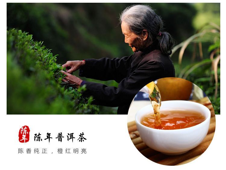 250G (8.8 Oz) Palace Orange Peel ChenPi Citrus Puer Pu’er Puerh Ripe Loose Tea