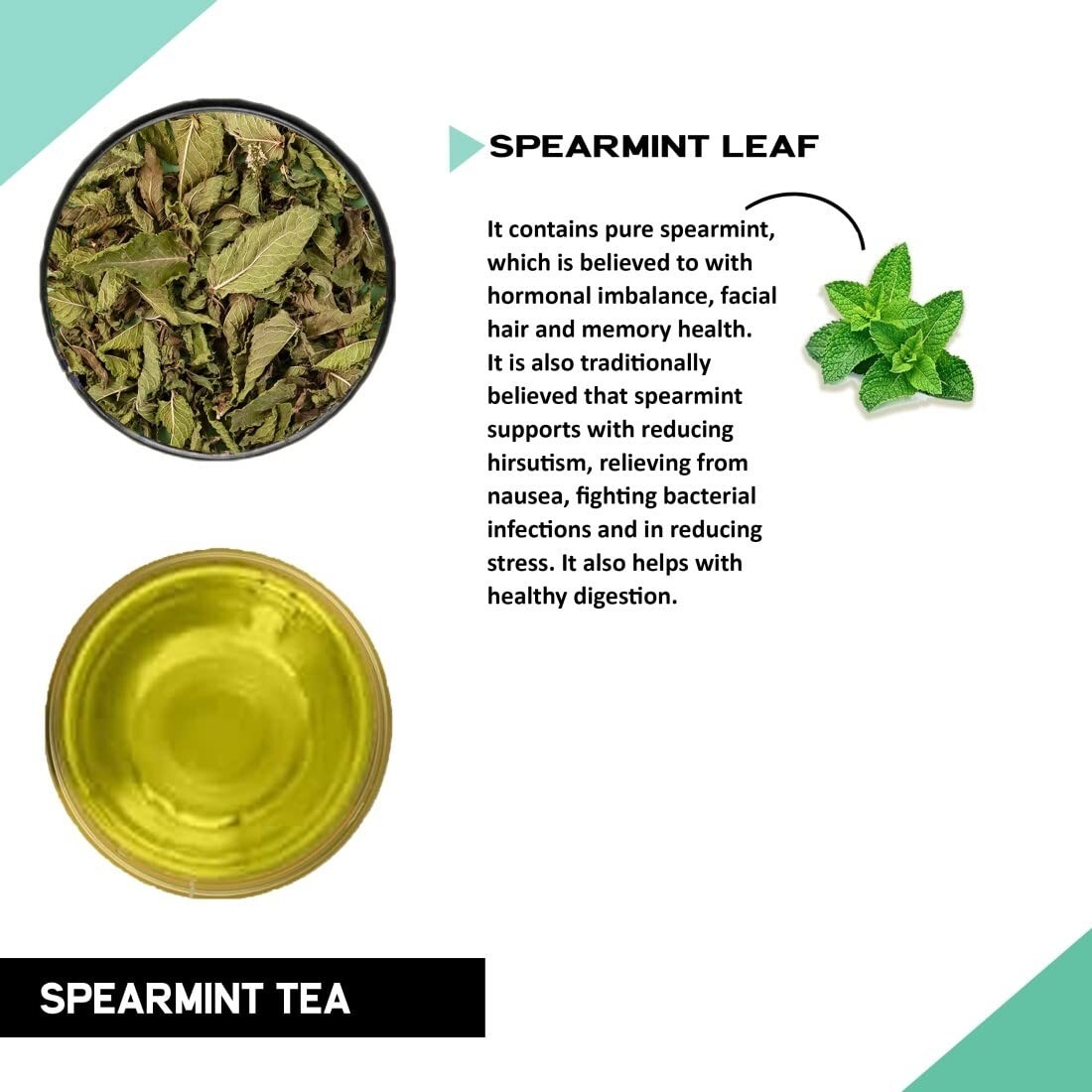 TEACURRY Spearmint Tea (1 Month Pack, 30 Tea Bags) – Helps with Women Health