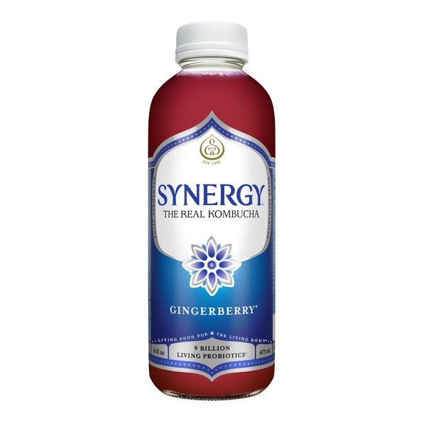 Synergy Kombucha Gingerberry & Gingerade 16oz 6 Pack Variety Drink