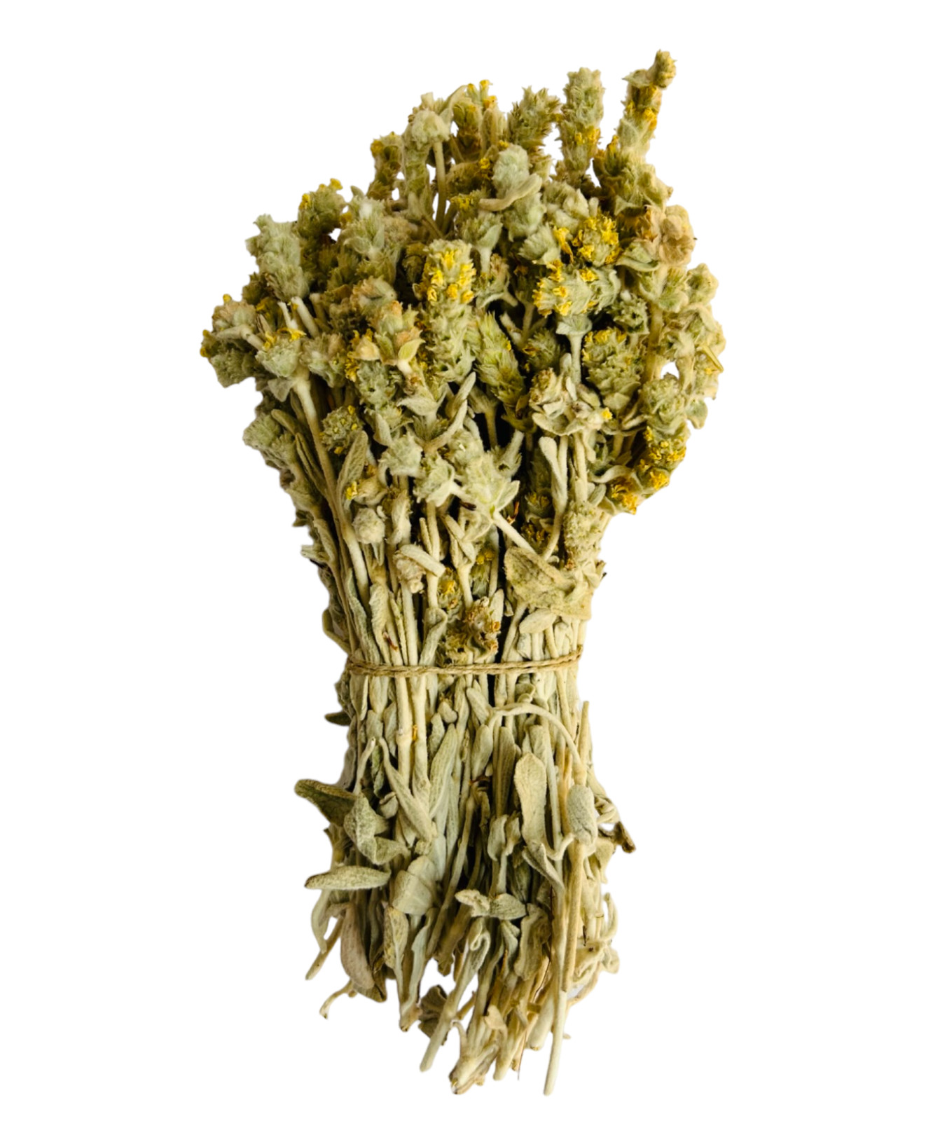 Greek Mountain Tea Malotira Sideritis Syriaca 220g(7.8oz) Harvest June 2023