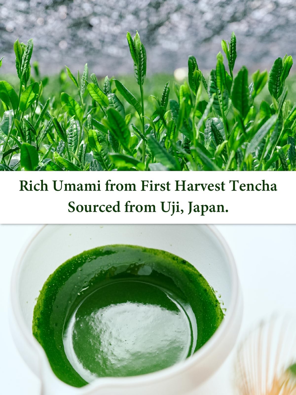 “Uji no Hana” Japanese Matcha Green Tea Powder (30g/1.06oz) – Ceremonial Grad…