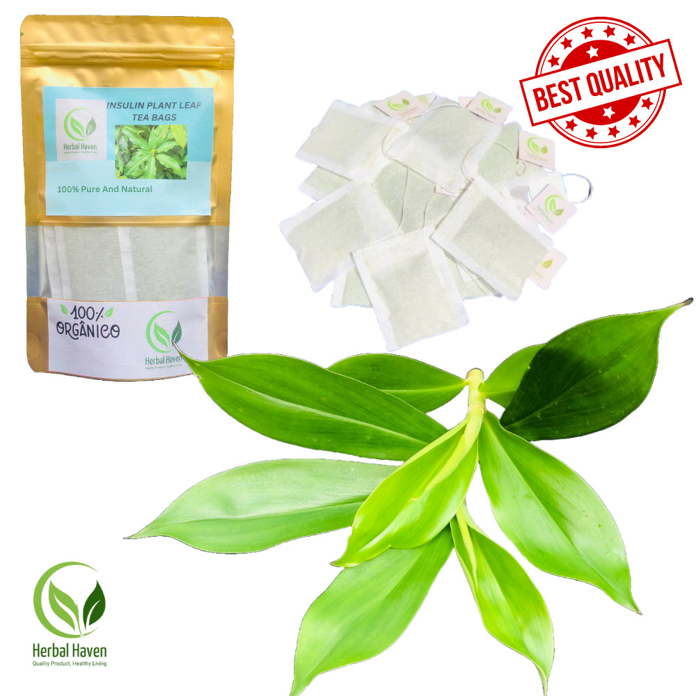 Organic Insulin Plant Leaf Tea Bags Herbal Drinks Costus Igneus leaves Powder