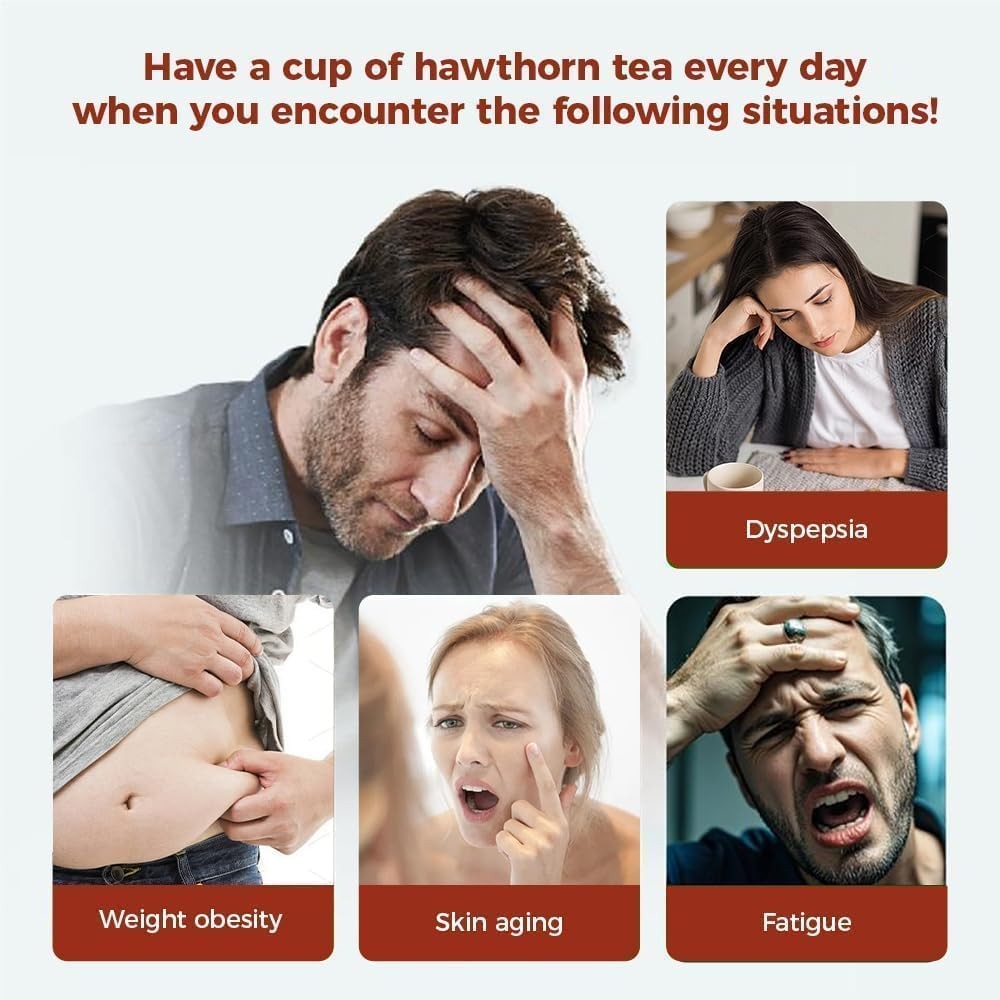 65 Count Premium Hawthorn Berry Tea Bags 100% Natural, Aids Digestion, Rich …