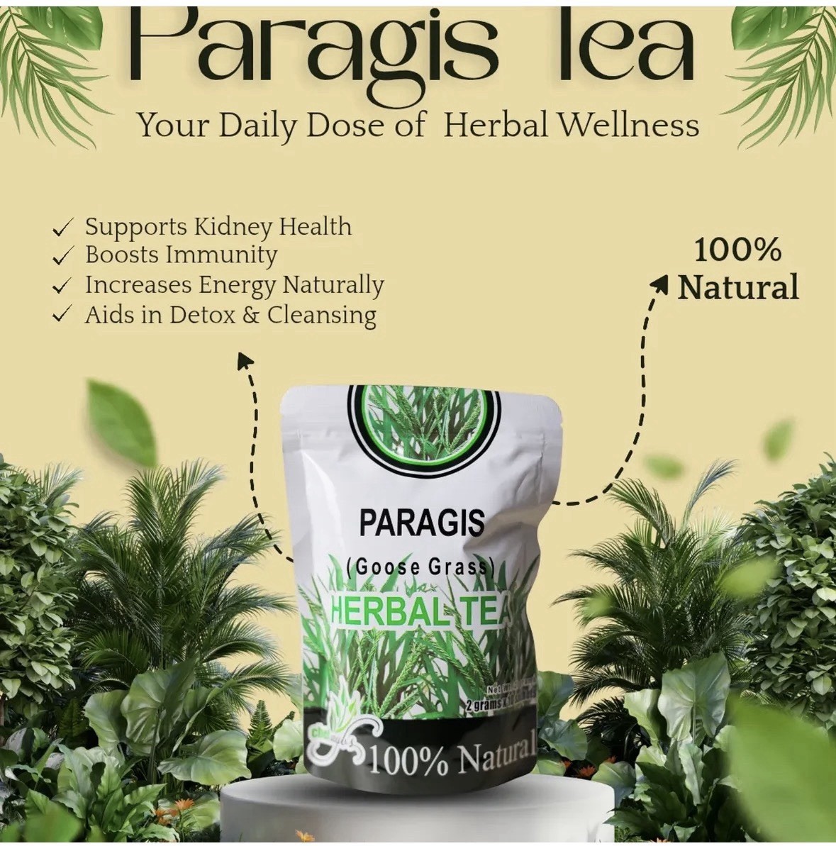 Chef Ayb’s Paragis Herbal Tea 100% Natural Caffeine-Free 2g x 10 Sachets