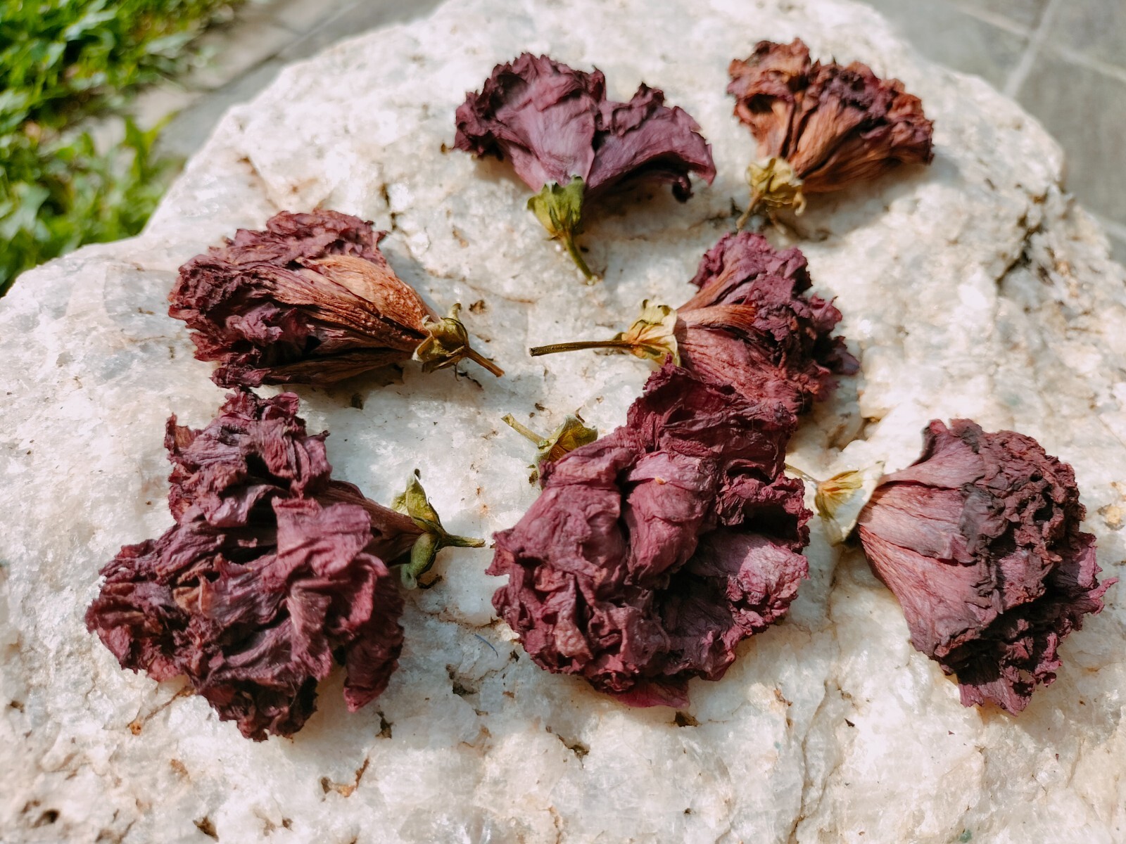 Greek Organic Hibiscus Dried Flowers Pcs Hibiscus Sabdariffa 25 Pcs Flowers New