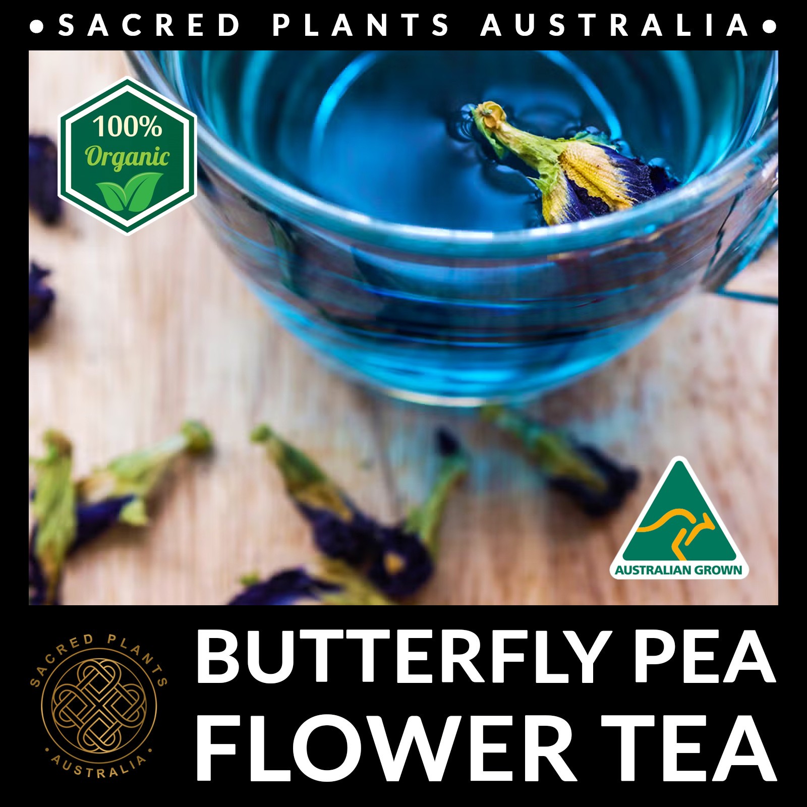 BUTTERFLY PEA Flower Tea 10g | Clitoria ternatea Loose Leaf Organic Natural