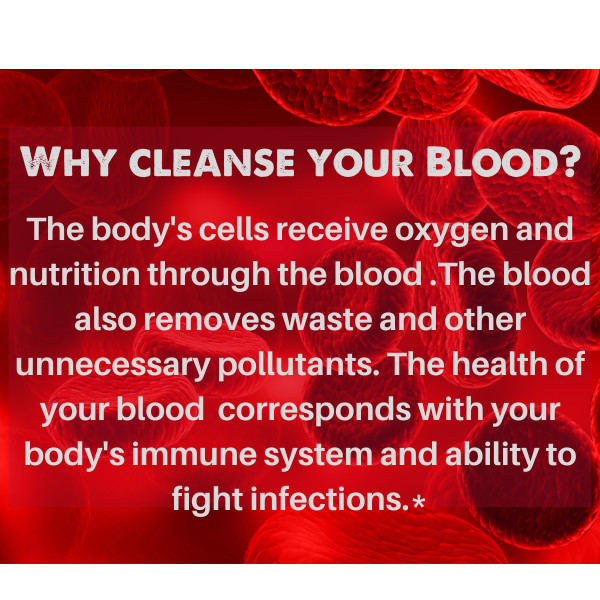 Organic Blood LifeBoost® Tea [28 Tea Bags] SpeedyVite®
