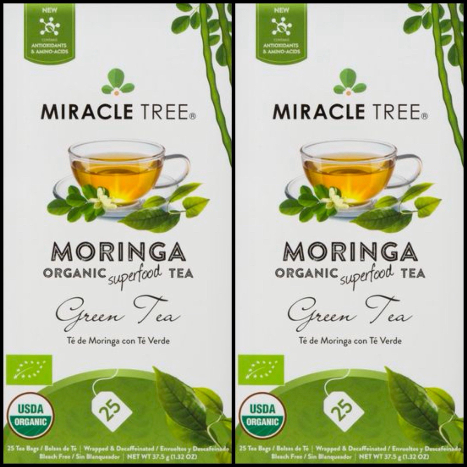 Moringa Tea Organic Miracle Tree Green Tea Total 50 Tea Bags USDA Organic 2 BOX