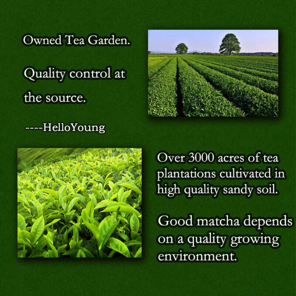 250g Organic Ceremonial Matcha Green Tea Powder Latte Diet Morning Drink