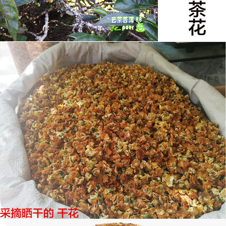 Yunnan Old Trees Camelias Flower Lincang Snowy Mountain Raw Pu’er Puer Tea 357g