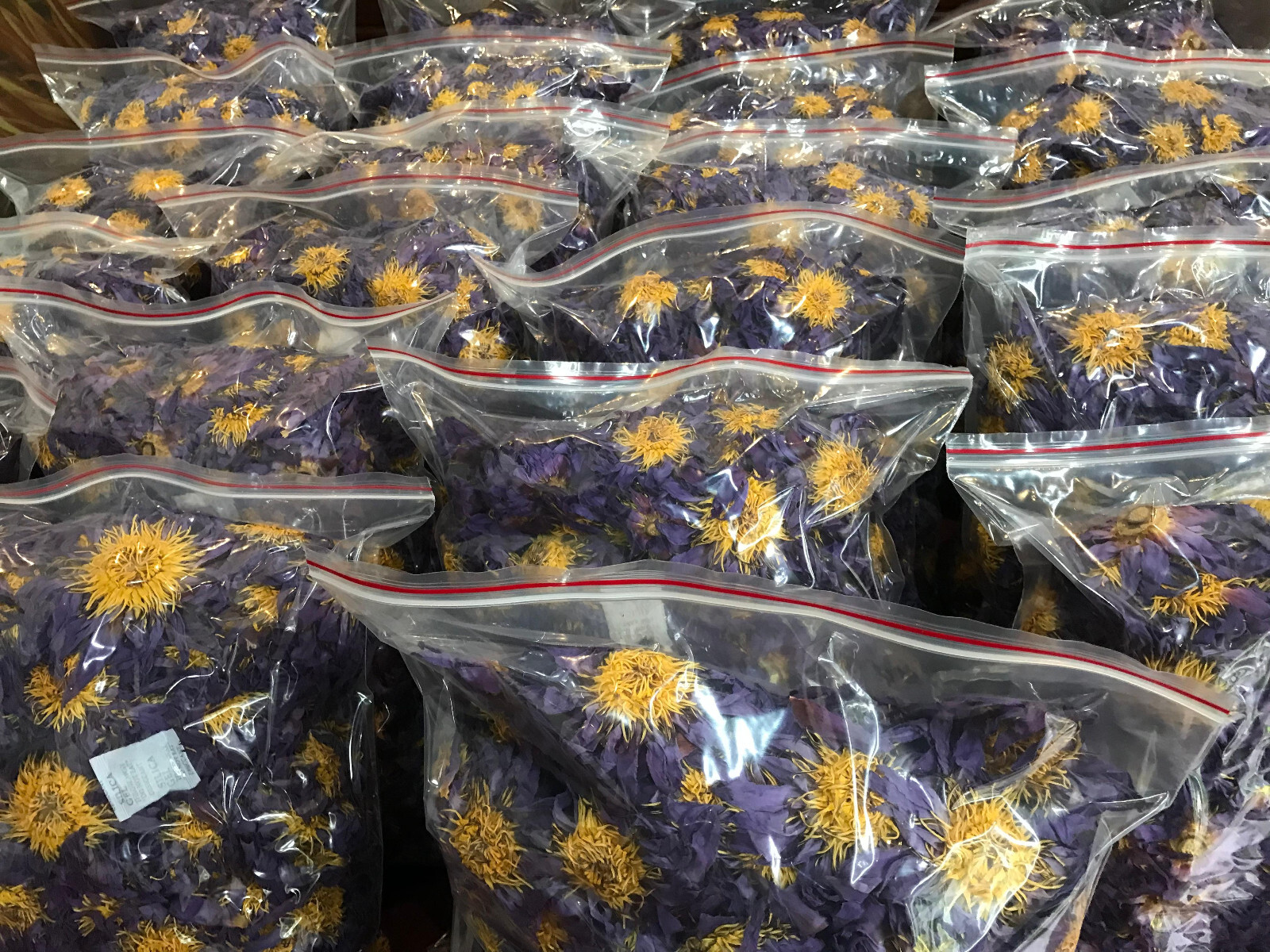 Blue Lotus Nymphaea Caerulea 100% Organic Hand Picked Pure Dried Flowers Tea