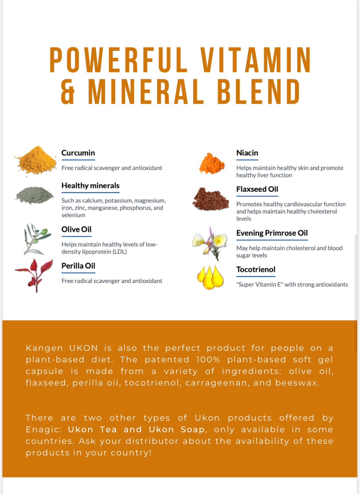 Kangen Ukon Turmeric Tea 60 Bags Per Box (5 Boxes) 100% Organic + Supplements