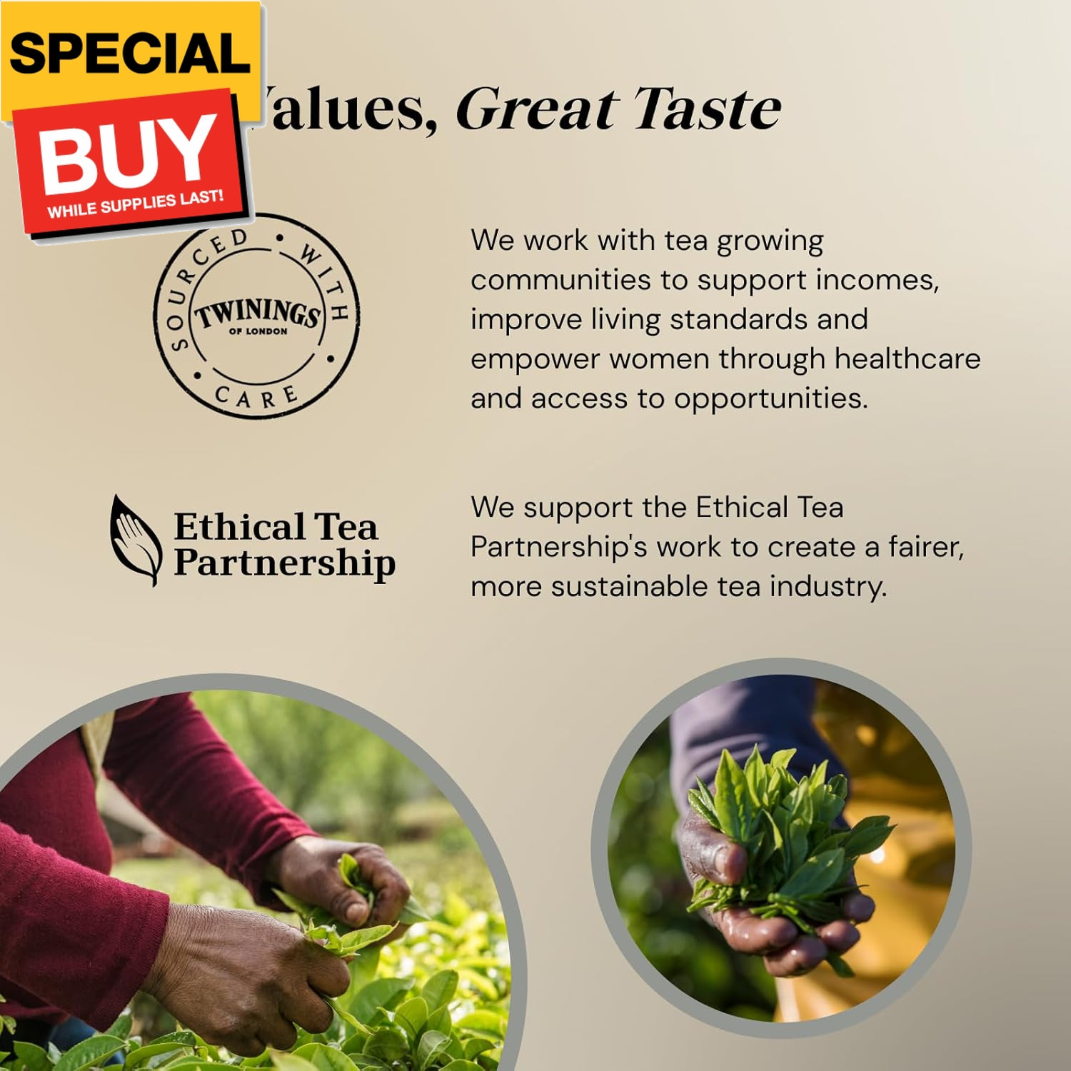 Lady Grey Tea | Bright & Refreshing Black Tea with Zesty Orange | 40 Biodegradab