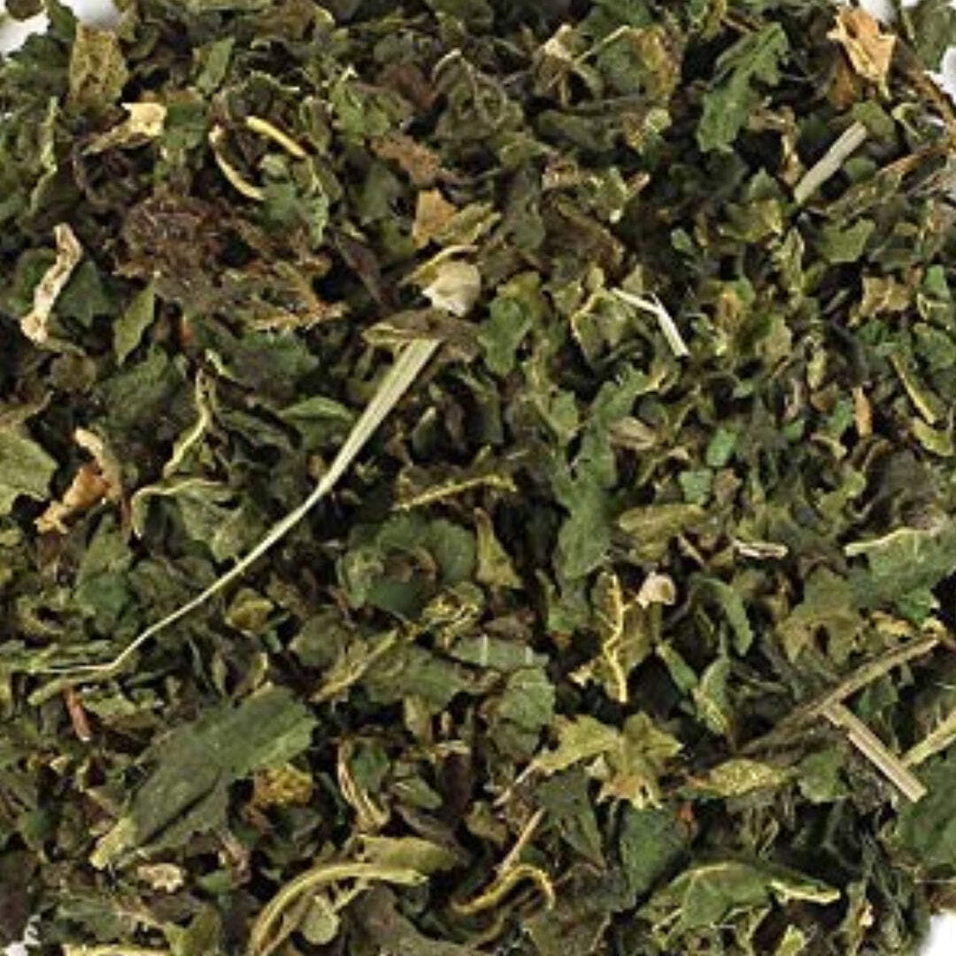 Nettle Leaf