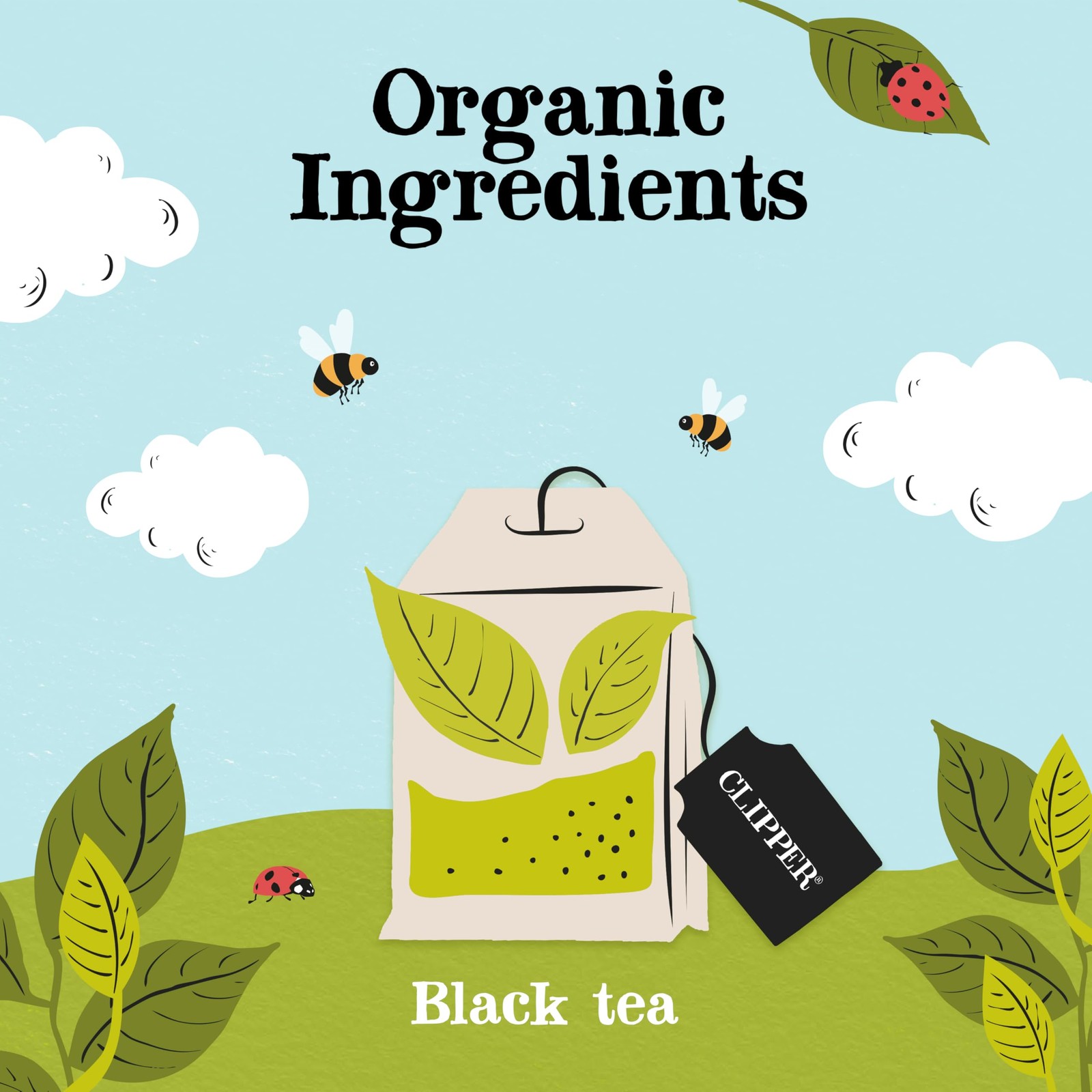 Clipper Tea, Organic Fairtrade Everyday, Organic, USDA Non-GMO, Fair Trade, S…