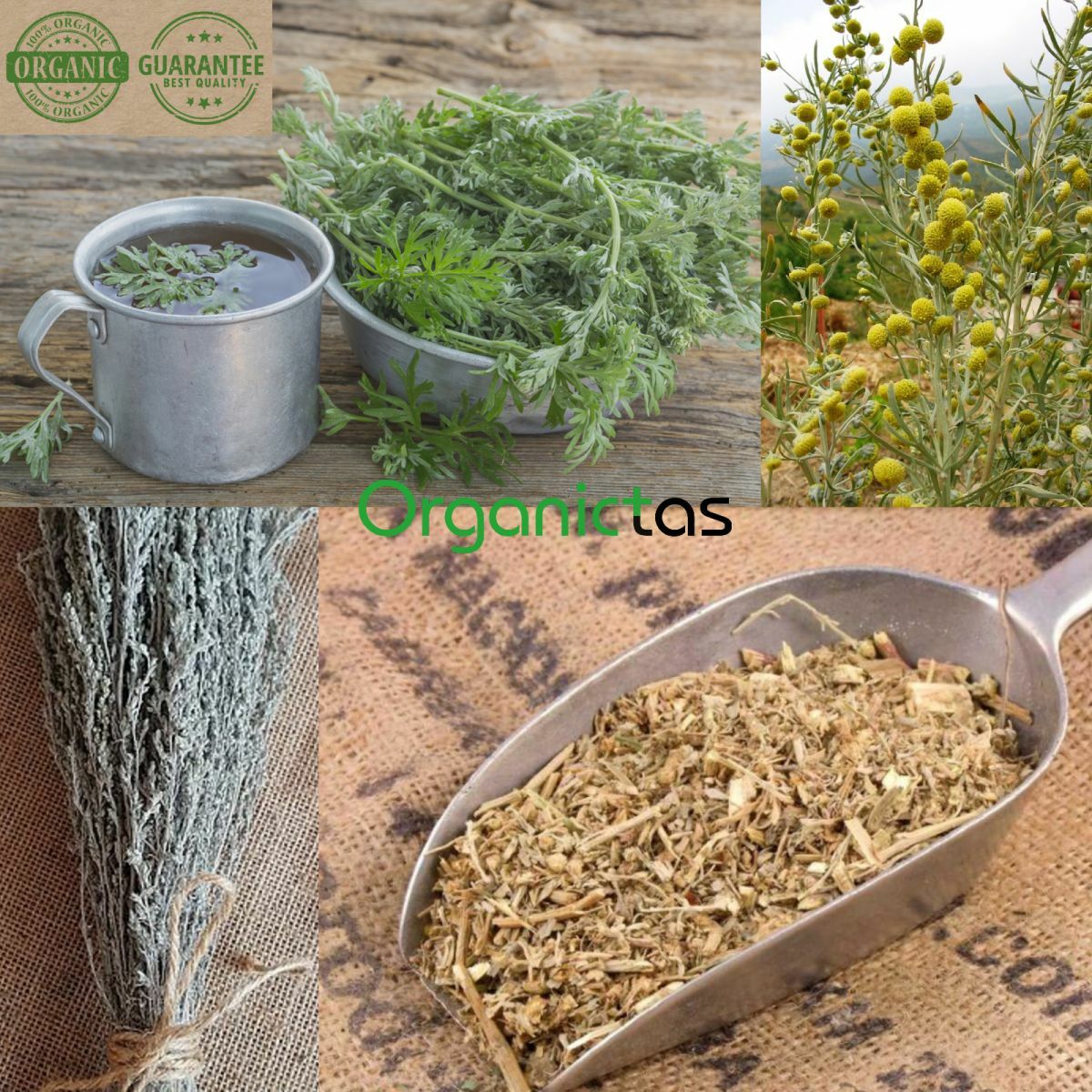 Artemisia Absinthium Organic Wormwood Tea – Best Premium Quality Health Benefits
