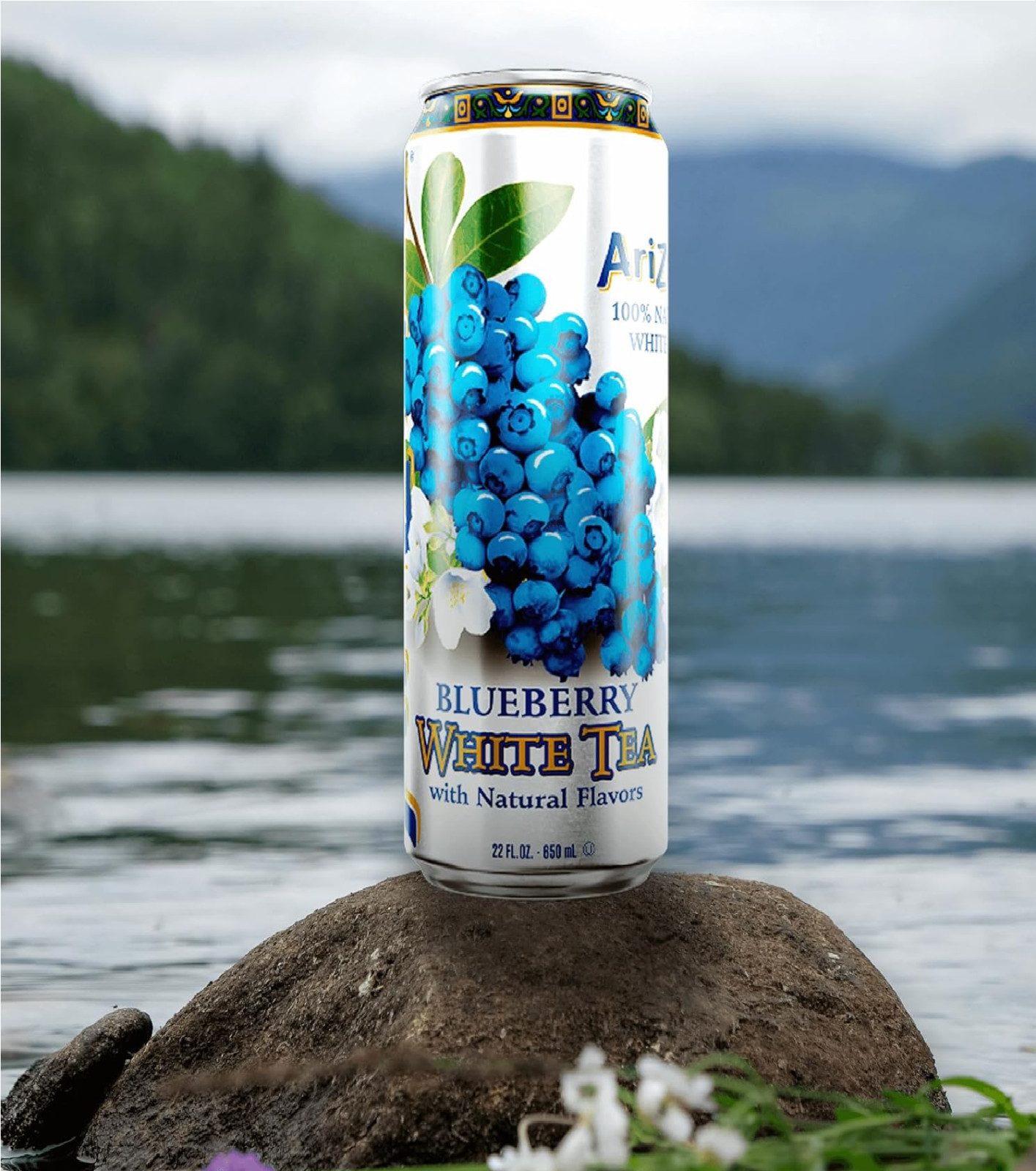 AriZona Blueberry White Tea – Big Can, 22 Fl Oz (Pack of 12)