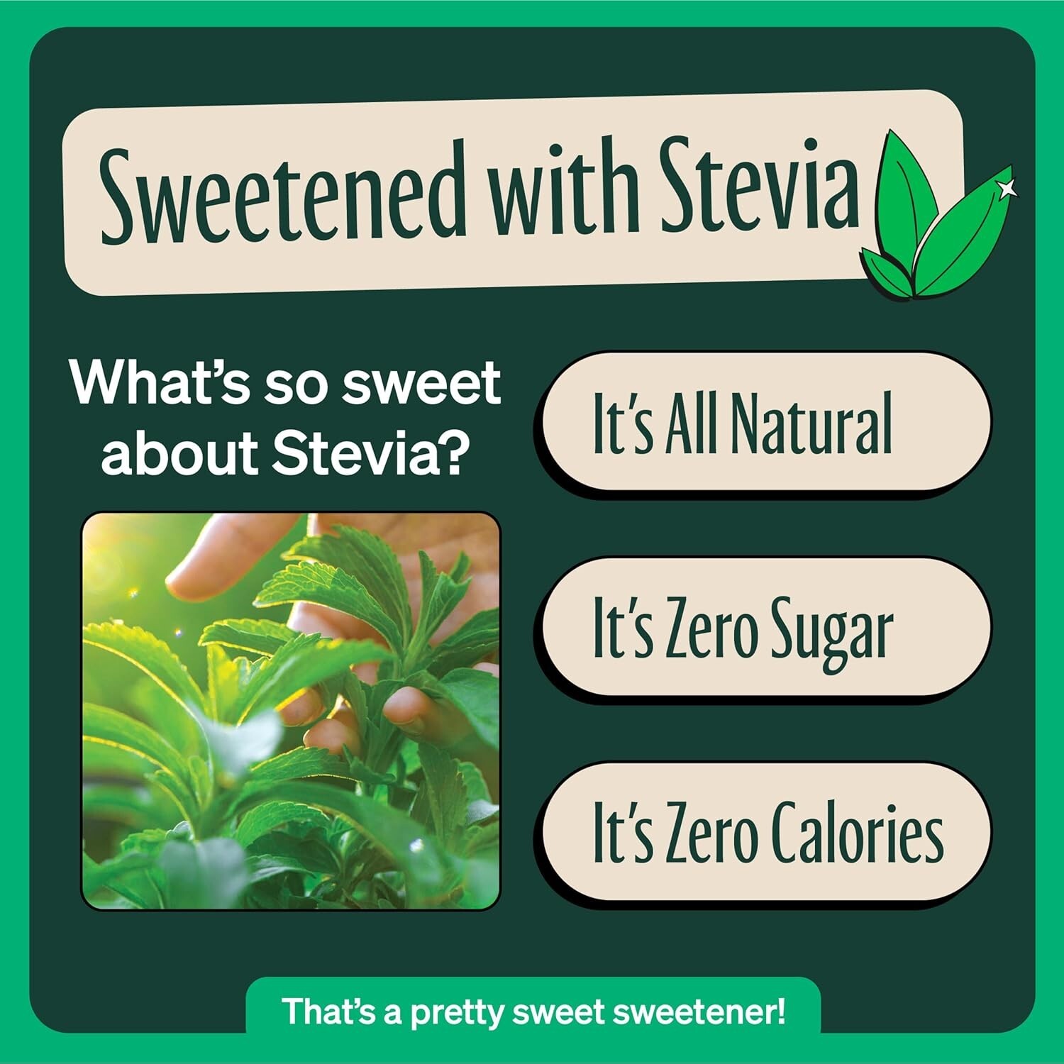 12-Pack of Delicious Zero Calorie Raspberry Black Tea – & Gluten-Free