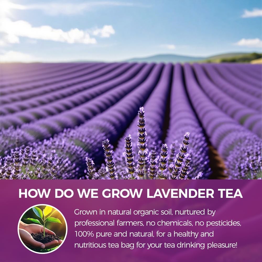 Culinary Dried Lavender Buds 8.8oz Extra Grade Fragrant Flowers for Baking, …