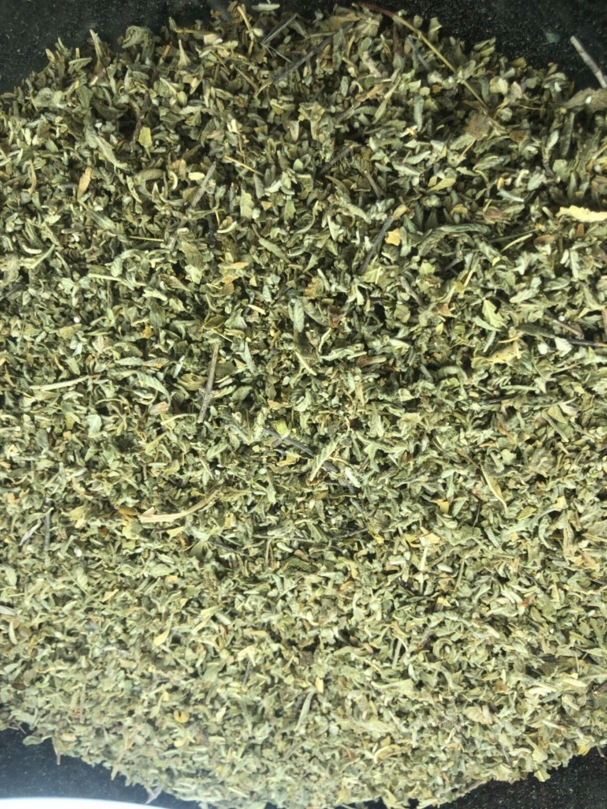 DAMIANA cut leaf quality wild crafted c/s herb – 1 2 4 8 ounce oz lb pound
