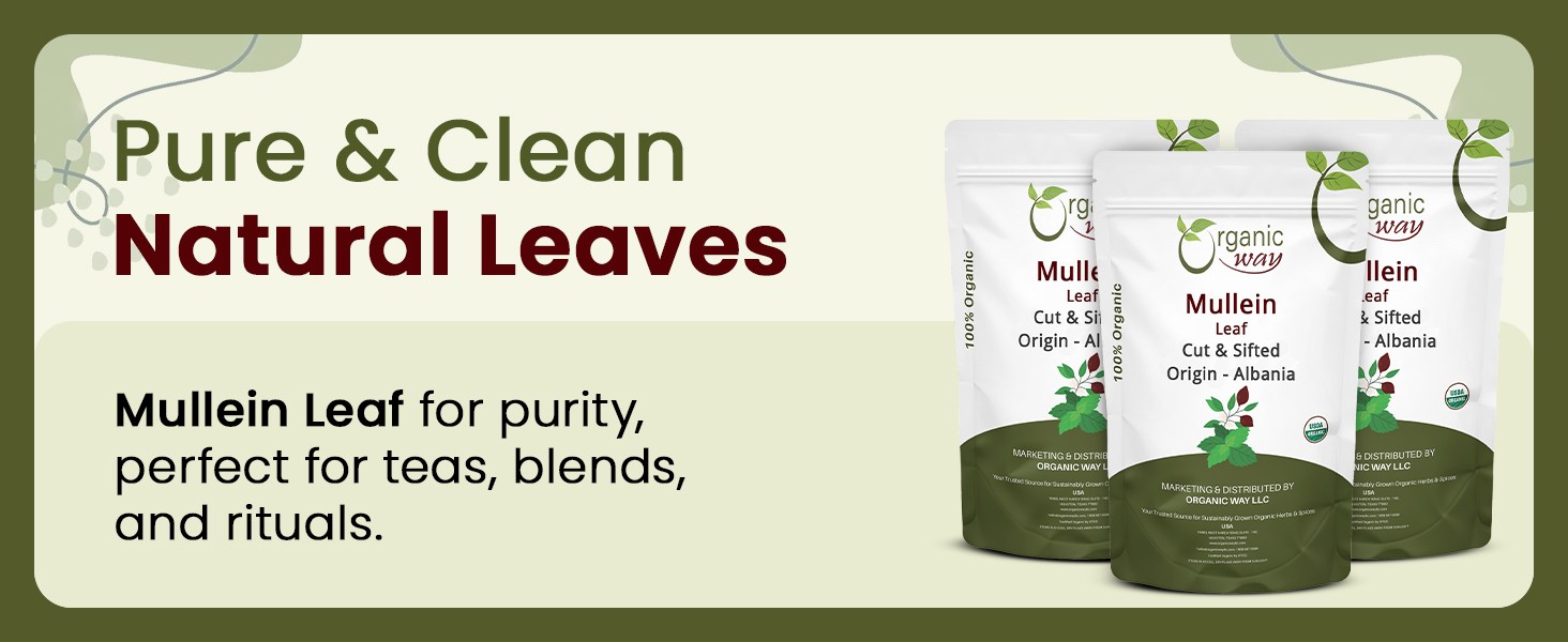 Mullein Leaf | Herbal Tea (Verbascum thapsus) Cut & Sifted – European