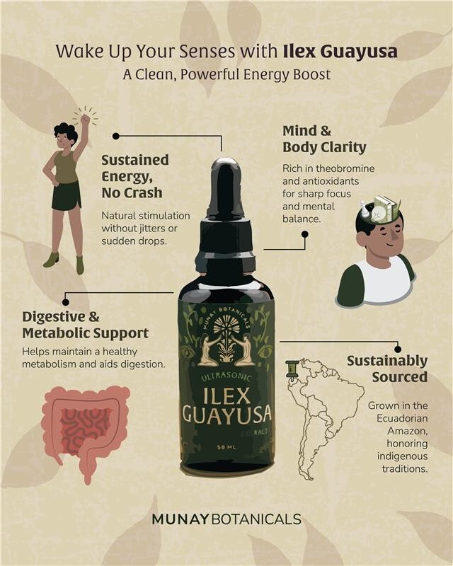 Munay Botanicals Guayusa Extract | Clean Natural Energy & Focus