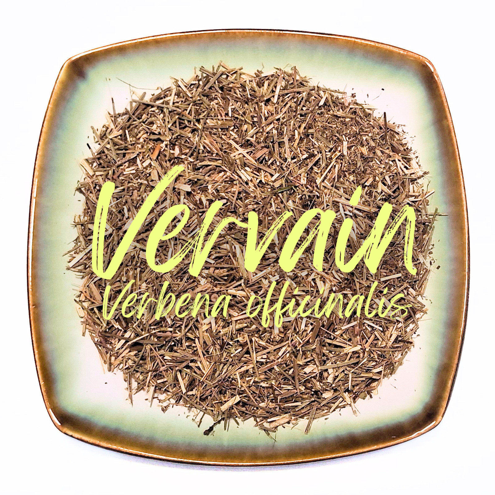 Vervain – Verbena officinalis Organic Dried Leaf Herb Apothecary Tea 0.5-4 oz