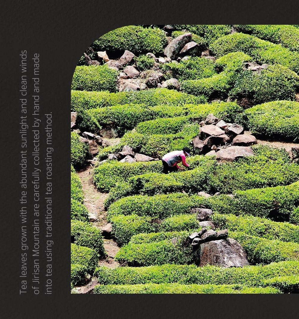 Ssanggye Korean Green Tea Jukro 2025 First Flush Jirisan Hand-Picked 60g