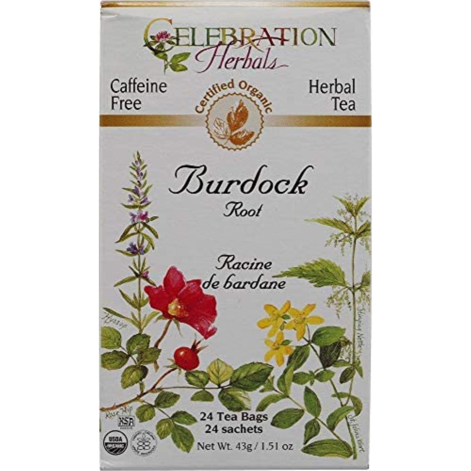 Celebration Herbals Burdock Root Herbal Tea 24 Count Organic Teabags