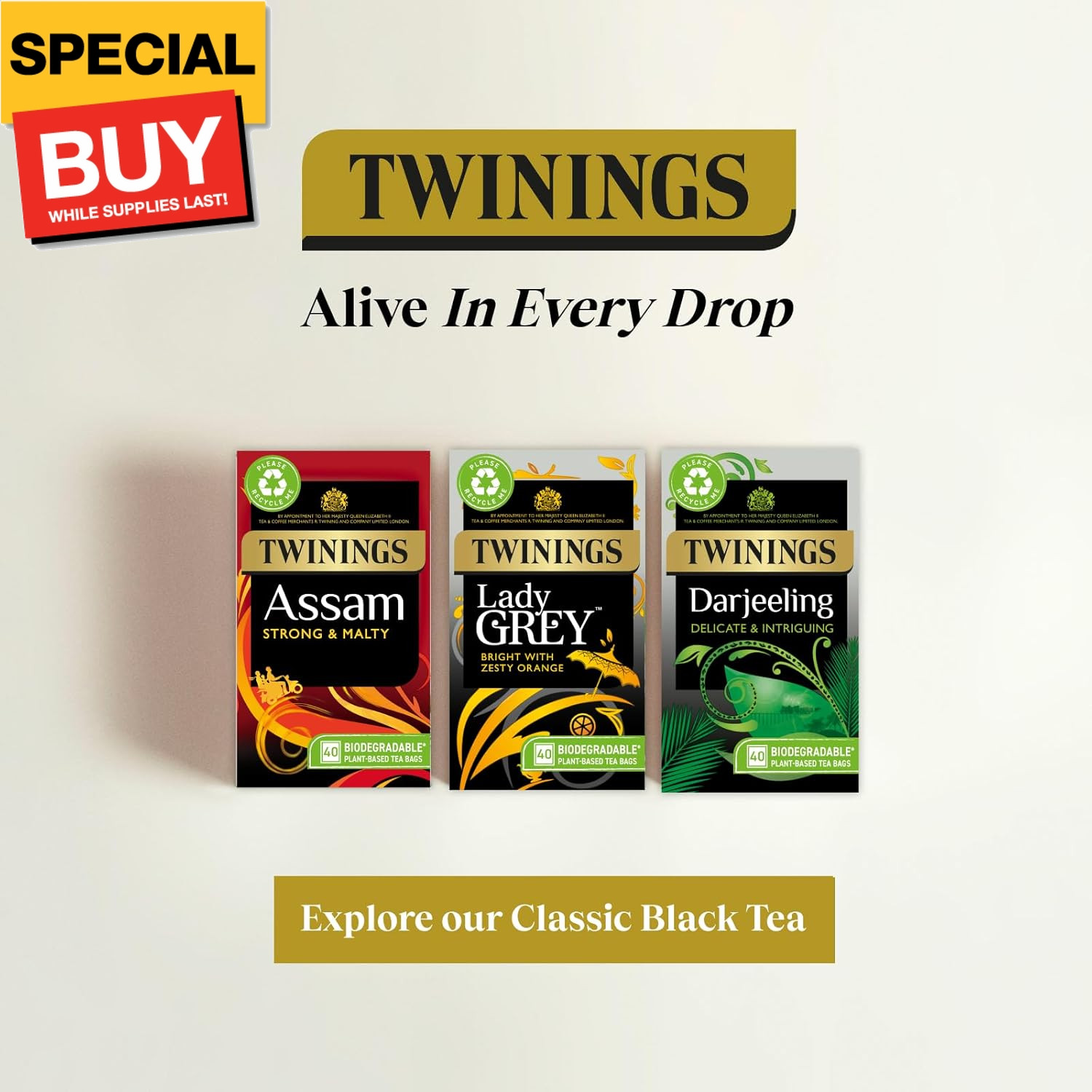 Lady Grey Tea | Bright & Refreshing Black Tea with Zesty Orange | 40 Biodegradab