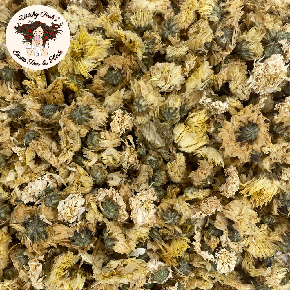 Witchy Pooh’s Chrysanthemum Tea – Whole Flowers, Caffeine Free