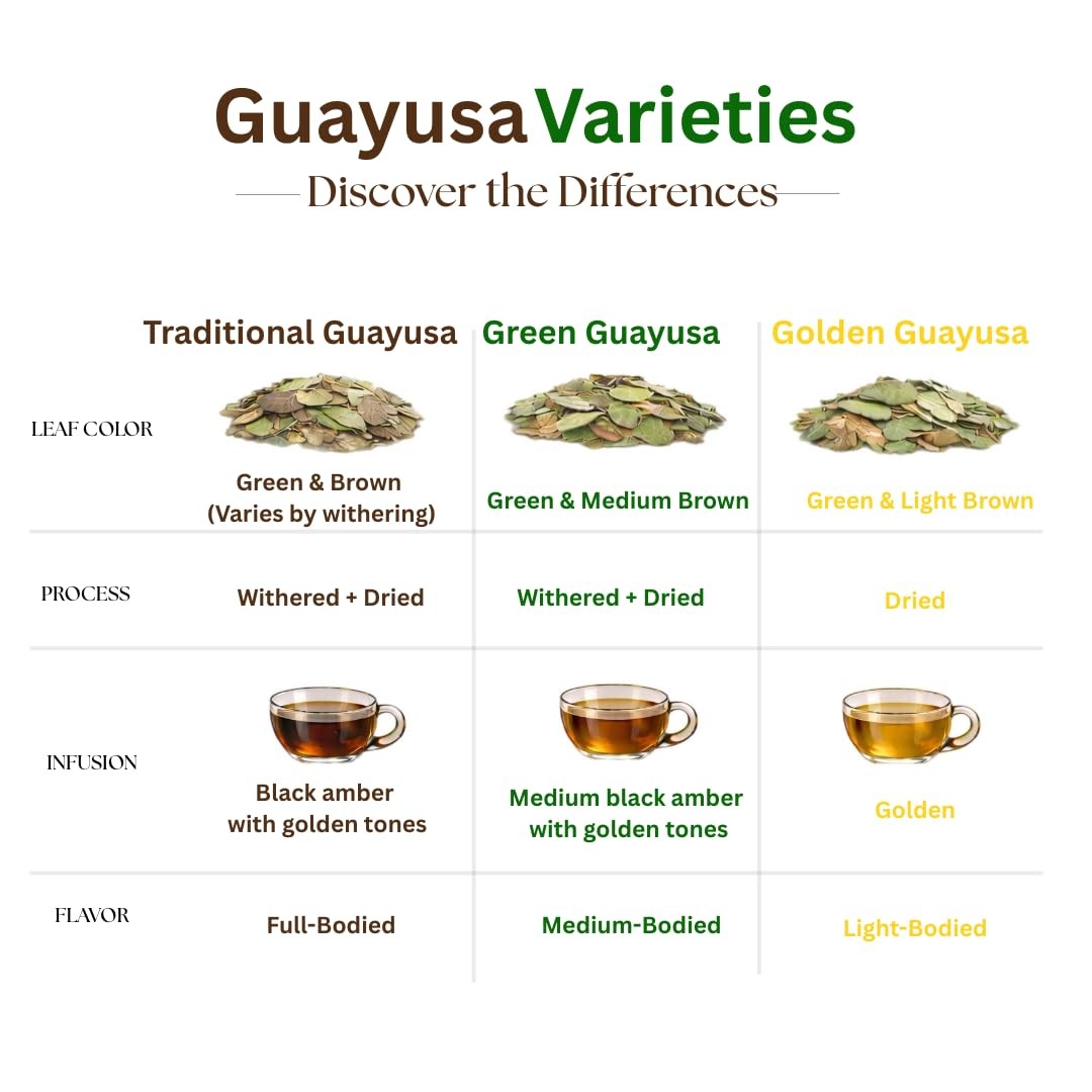 Guayusa Loose Leaf Tea by PACHA | 66mg Caffeine | Naturally High in Antioxida…