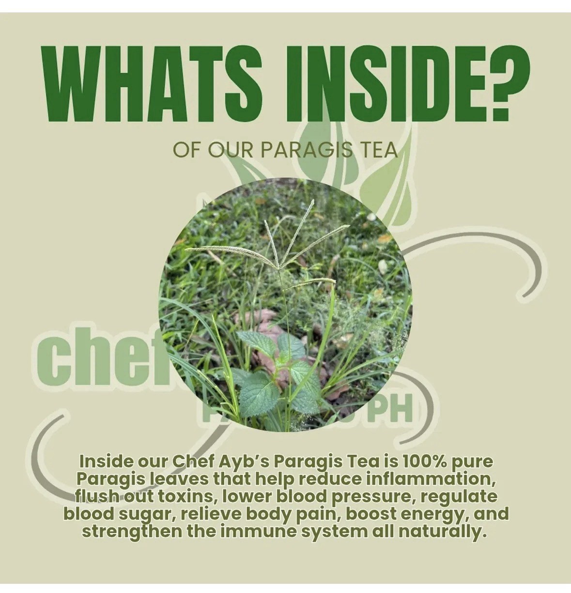 Chef Ayb’s Paragis Herbal Tea 100% Natural Caffeine-Free 2g x 10 Sachets
