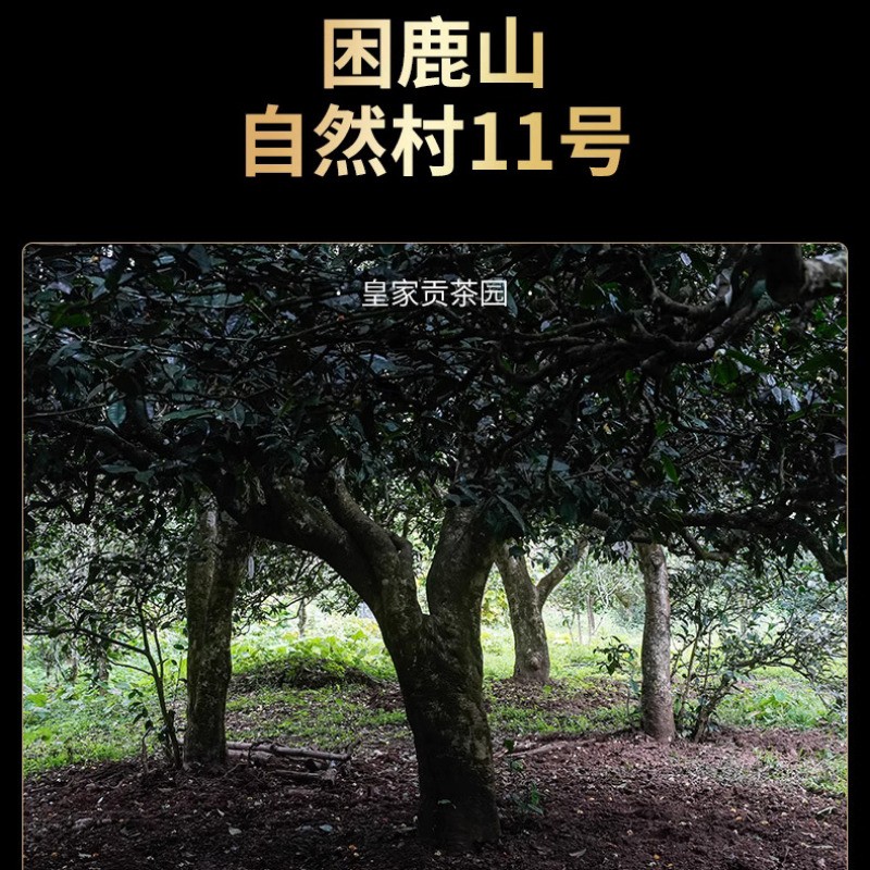 Royal Gongcha Garden Trapped Deer Mountain Golden Leaf Pu’er Tea Raw Cake 200g