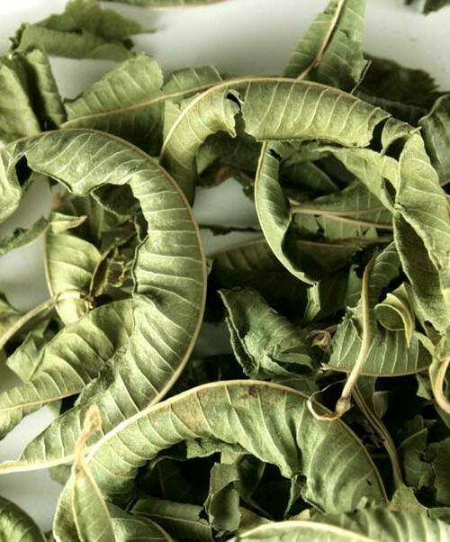 Organic dry lemon verbena for tea 0.7 oz. 1tsp makes 1 cup