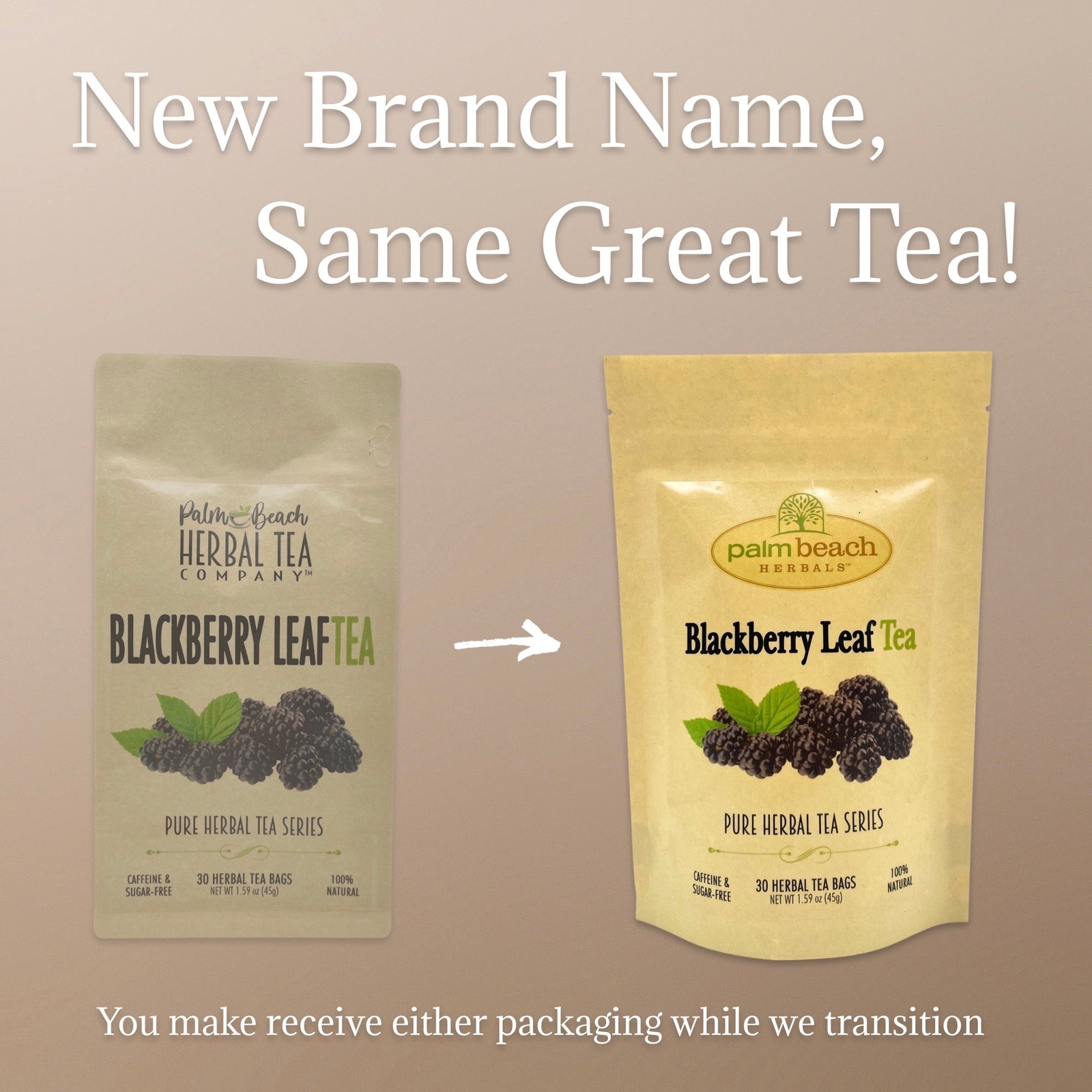 Blackberry Leaf Tea by Palm Beach Herbals | 30ct, Caffeine-Free