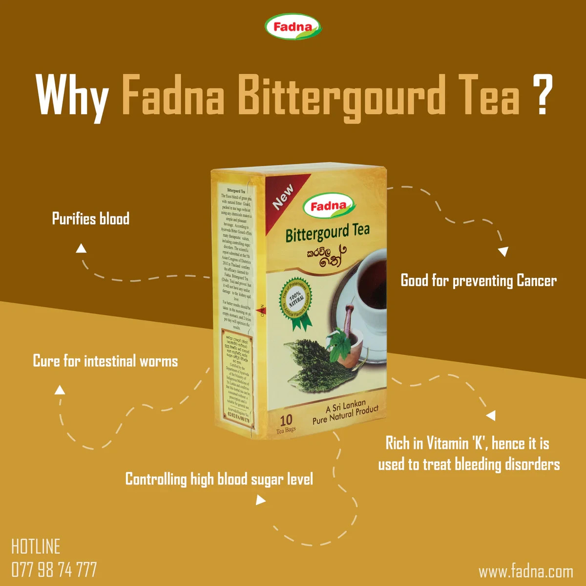 Fadna Bitter Gourd Tea Balancing Blood Sugar Naturally 20 Tea Bags