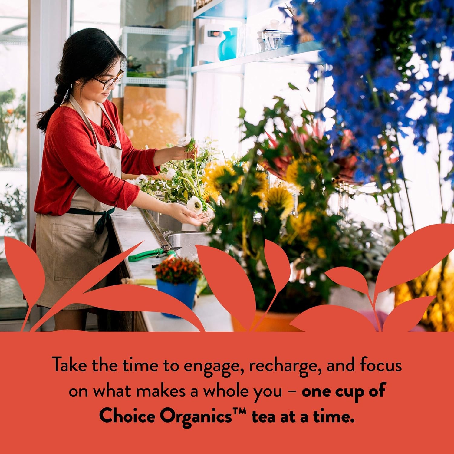 Choice Organics – Organic Rooibos Tea (1 Pack) – Fair Trade – Compostable –