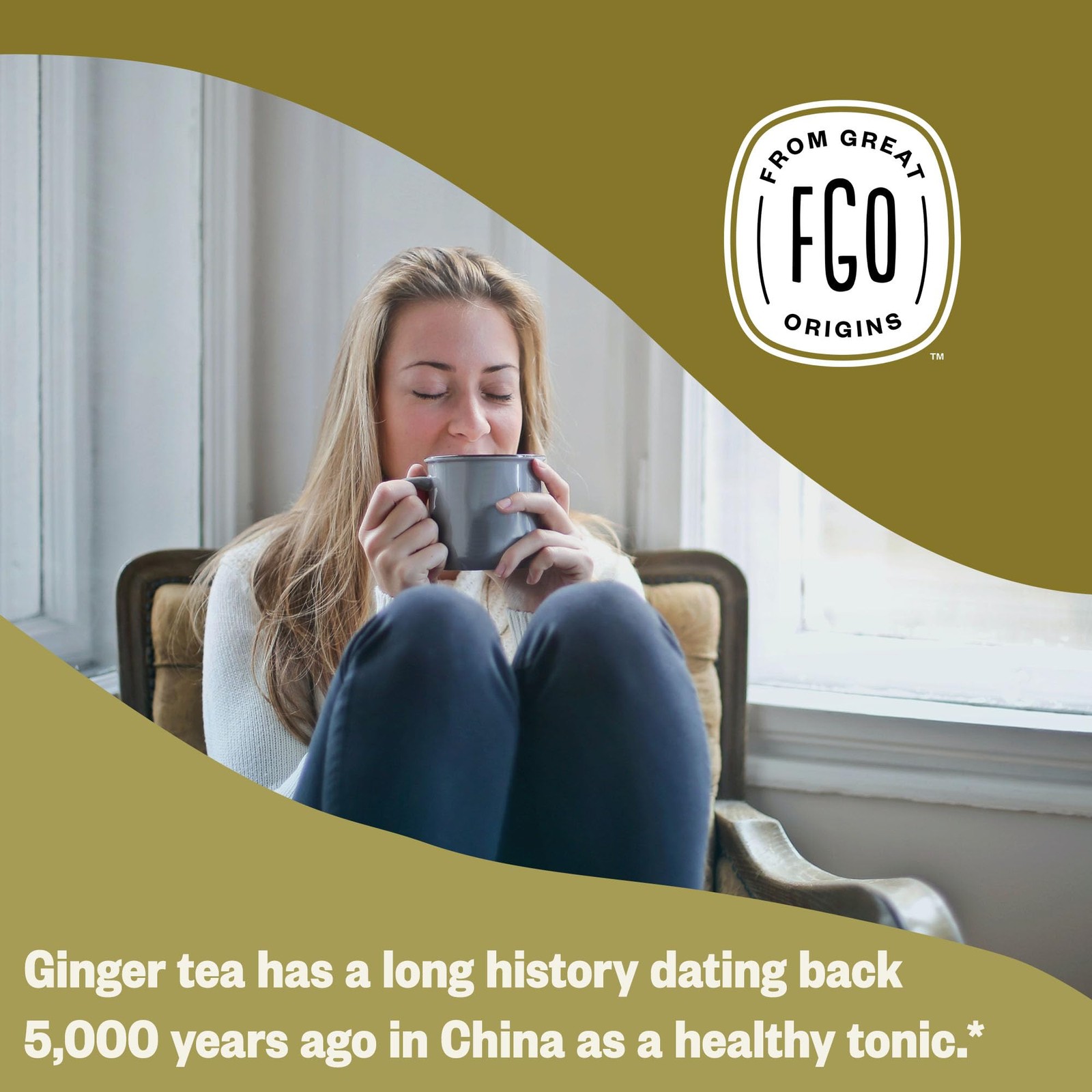 FGO Organic Ginger Tea, Eco-Conscious Tea Bags, 100 Count