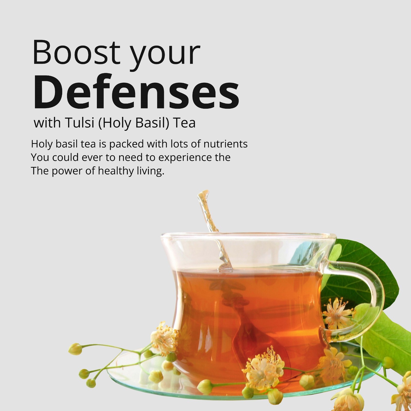 75 Organic Holy Basil Tea Bags, Pure Tulsi Holy Basil, Tulsi Tea, Caffeine Free
