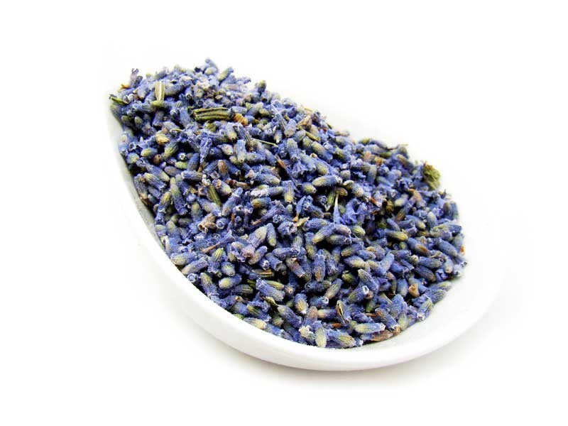 Lavender Tea – 8 oz – “ULTRA” grade French Premium Loose Buds, Wild Crafted