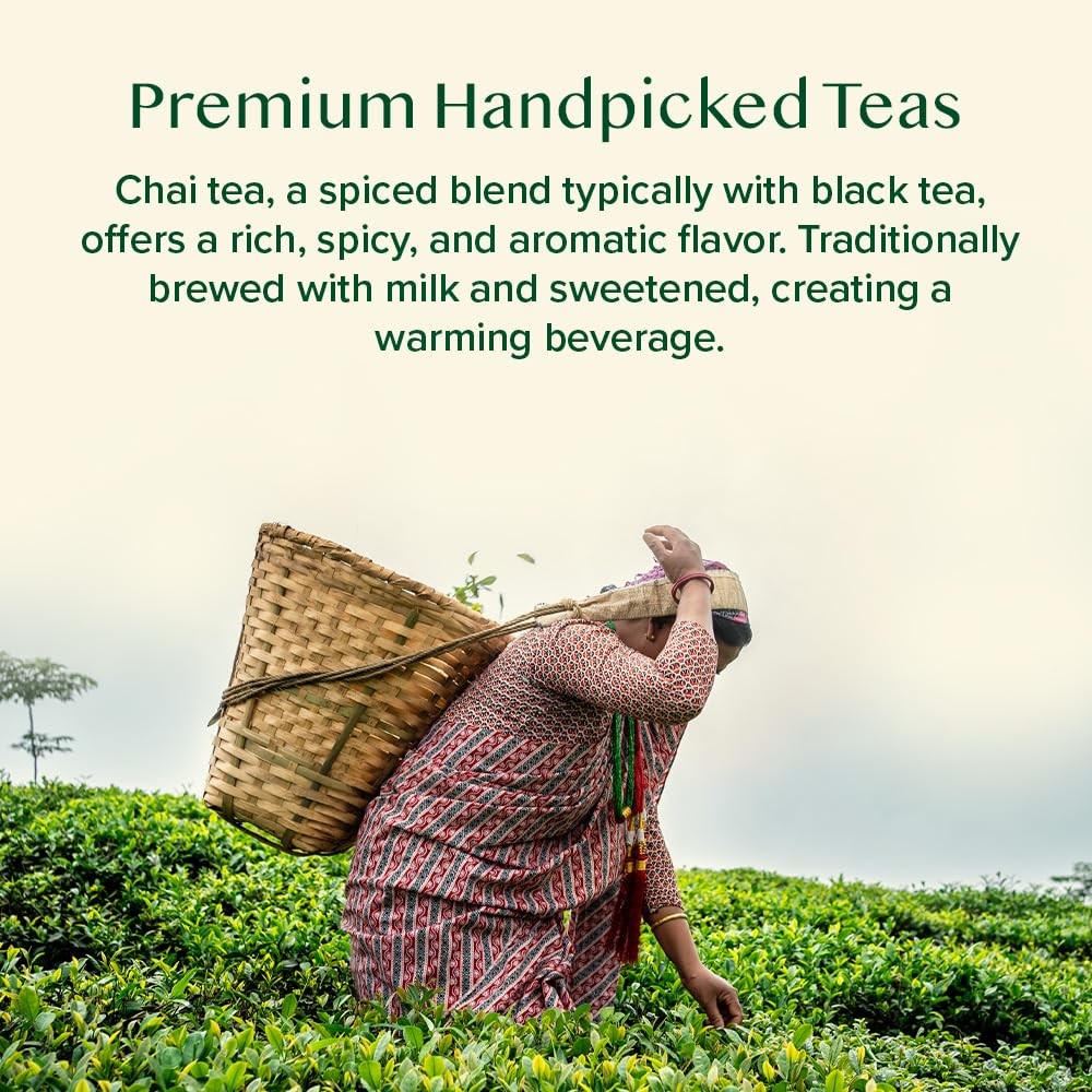 , Assorted Loose Leaf Chai Tea Sampler (10 Flavors, 50+ Servings) | Indian Ex…