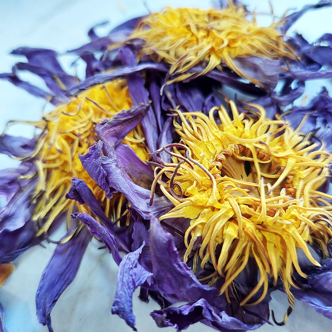 Dehydrated Blue Lotus Flower (Nymphaea Caerulea) Deep Dreams Tea Stress Relief