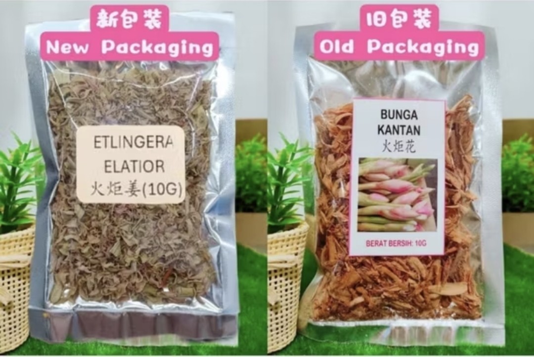 Bunga Kantan Torch Flower Dry 10g Expiry 2028 KNIPHOFIA UVARIA for Gastric
