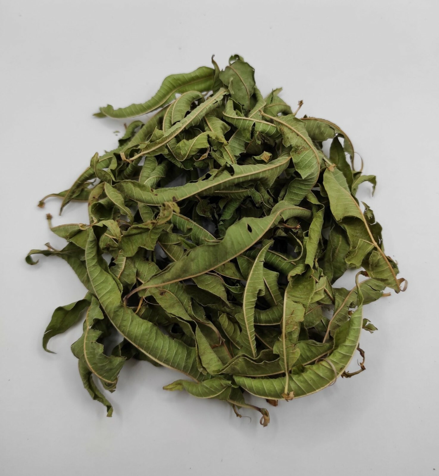 Greek Lemon Verbena Dried Whole Leaves 220g(7.8oz) Harvest 2024