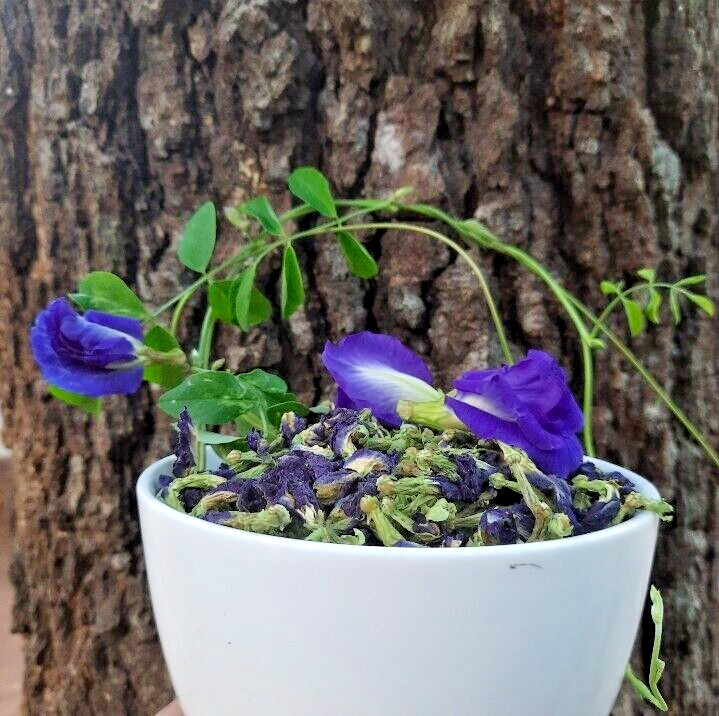 Blue Butterfly Pea Flowers Herb Tea Original CLITORIA TERNATEN 2500g + FREE 100g